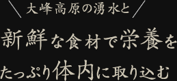 大峰高原の湧水と新鮮な食材で栄養をたっぷり体内に取り込む